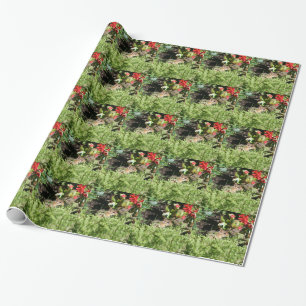 Verpackungspapier mit Foto des niedlichen Chipmunk Geschenkpapier