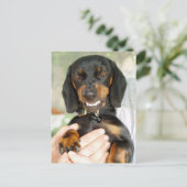 Verpasse dich nicht mit meiner Dackel Postkarte (Stehend Vorderseite)