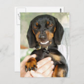 Verpasse dich nicht mit meiner Dackel Postkarte (Vorne/Hinten)