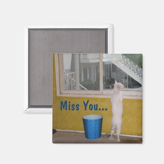 Verpassen Sie nicht... Magnet! Magnet (Vorderseite/Rückseite)