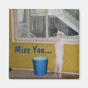 Verpassen Sie nicht... Magnet! Magnet