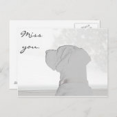 Verpassen Sie nicht. Postkarte (Vorne/Hinten)