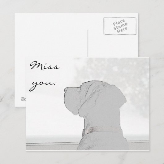 Verpassen Sie nicht. Postkarte (Vorne/Hinten)