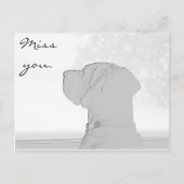 Verpassen Sie nicht. Postkarte (Vorderseite)