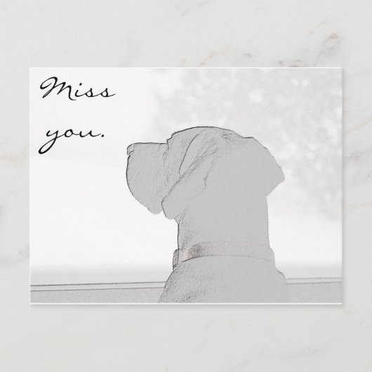 Verpassen Sie nicht. Postkarte (Vorderseite)