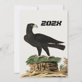 Verredx Black Eagle | Wild Bird Illustration Kid Einladung