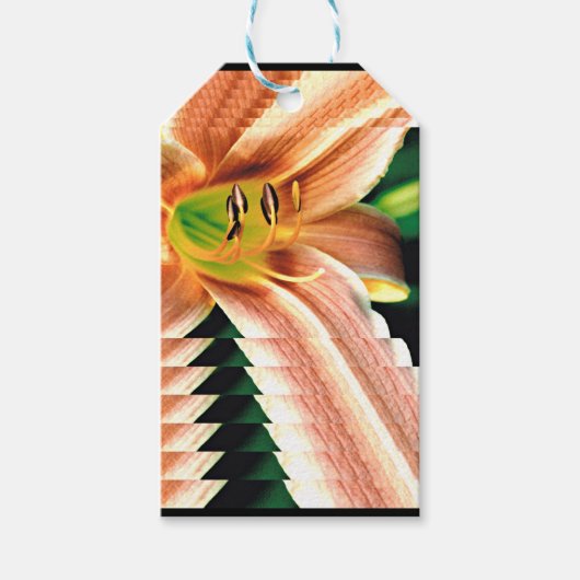 Verringerung der Taglilie Geschenkanhänger (Vorderseite)