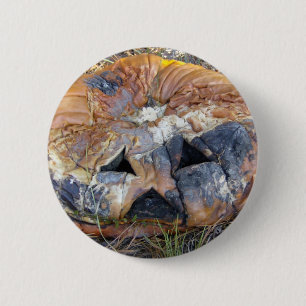 Verrottungs-Kürbis Button