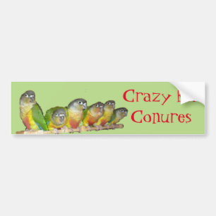 Verrückt für Conures! Autoaufkleber