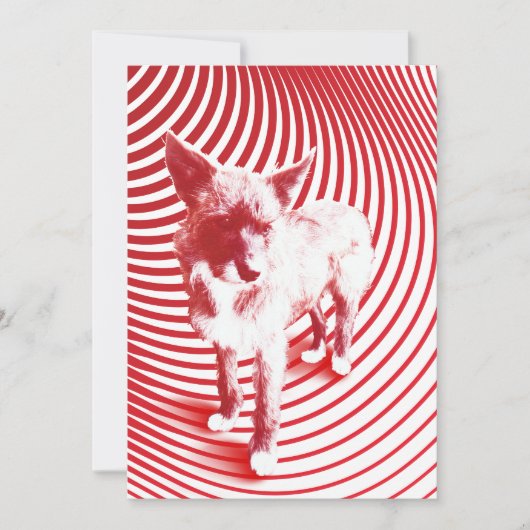 verrückte Hasenie Einladung (Vorderseite)