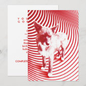 verrückte Hasenie Einladung (Vorne/Hinten)