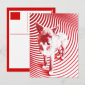 verrückte Hasenie Postkarte (Vorne/Hinten)