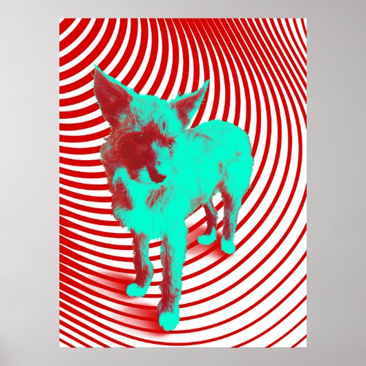 verrückte Hasenjungen Poster (Vorne)