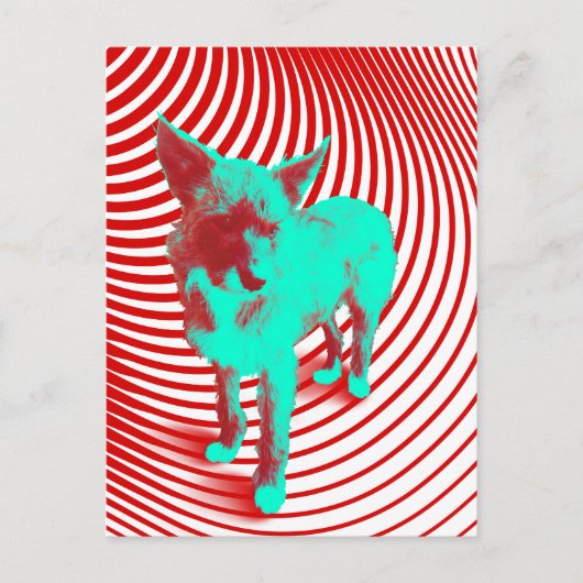 verrückte Hasenjungen Postkarte (Vorderseite)