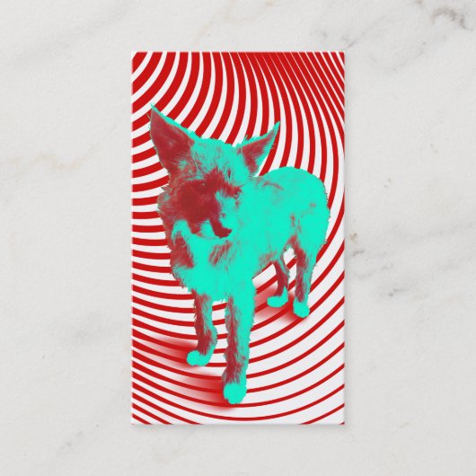 verrückte Hasenjungen Visitenkarte (Vorderseite)