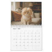 Verrückte Katze Kalender (Mär 2027)