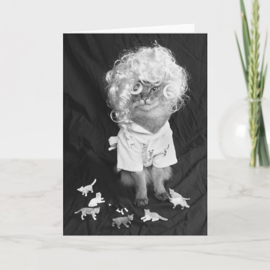 Verrückte Katzen-Dame Somali Cat Karte (Vorderseite)