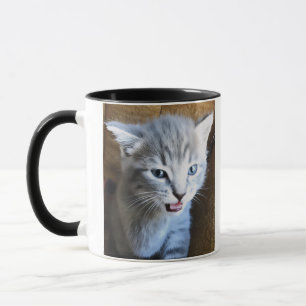 Verrückte Katzenlady. Katzenhumor. Katzenkaffeetas Tasse