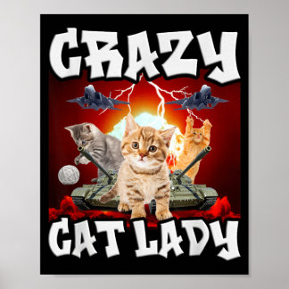 Verrückte Katzenlady lustiges Kätzchen Meme Poster