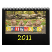 Verrückte niedliche Chipmunks 2011 Kalender (Titelbild)