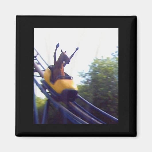 Verrückte Pferdereit-Achterbahn-Meme-Internet-Spaß Magnet (Vorne)