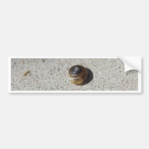 Verrückte Schnecke Autoaufkleber