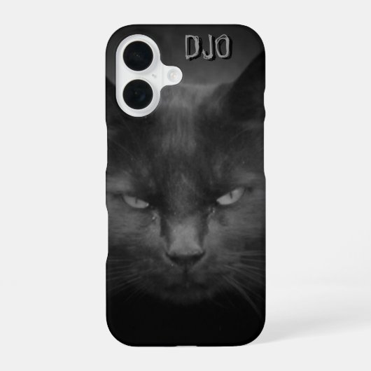 Verrückte schwarze Katze iPhone 16 Hülle (Rückseite)
