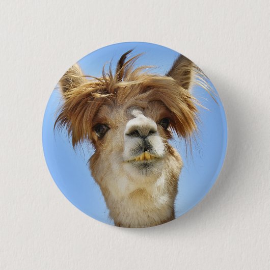 Verrücktes Haar Alpaka Button (Vorderseite)
