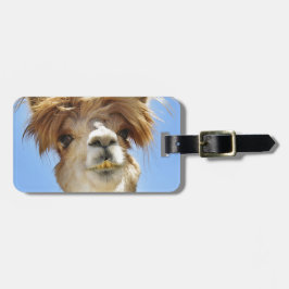 Verrücktes Haar-Alpaka Gepäckanhänger