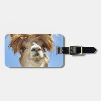 Verrücktes Haar-Alpaka Gepäckanhänger
