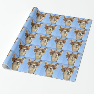 Verrücktes Haar-Alpaka Geschenkpapier