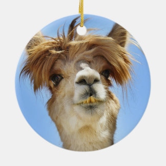 Verrücktes Haar-Alpaka Keramik Ornament