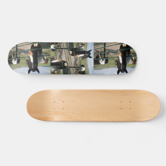 Verrücktes Pferd Sk8 Skateboard (Horizontal)