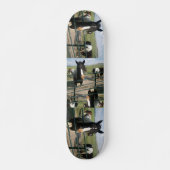 Verrücktes Pferd Sk8 Skateboard (Vorne)