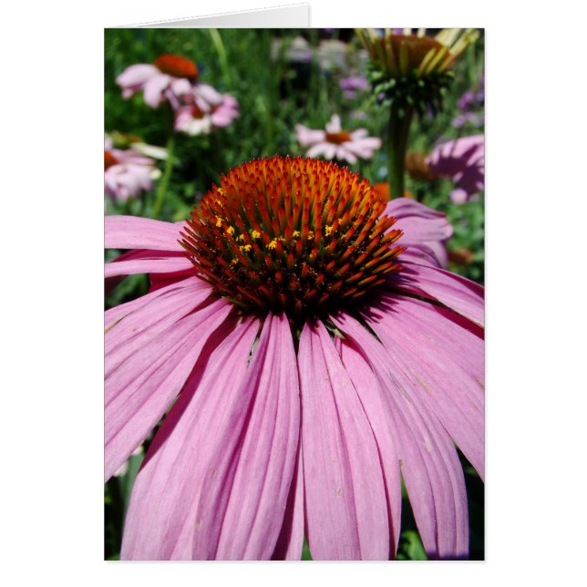 Vers le Jardin (Vorne)