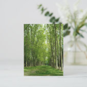 Versailles-Baum-Garten-romantischer Weg Frankreich Postkarte (Stehend Vorderseite)
