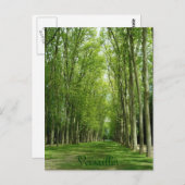 Versailles-Baum-Garten-romantischer Weg Frankreich Postkarte (Vorne/Hinten)