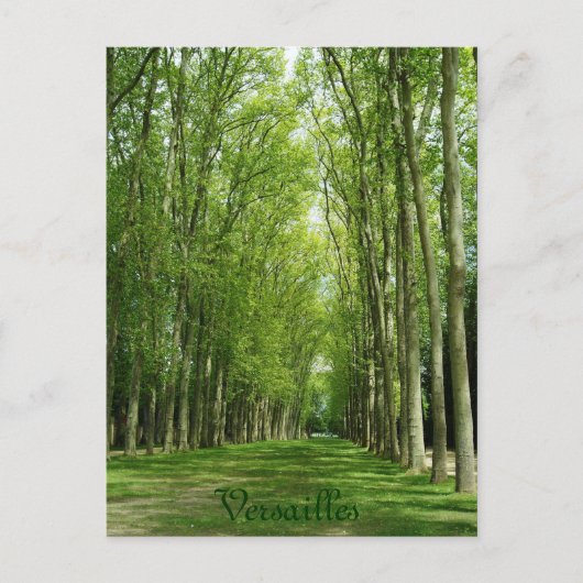 Versailles-Baum-Garten-romantischer Weg Frankreich Postkarte (Vorderseite)