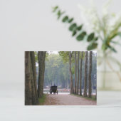 Versailles-Buggy 1 Postkarte (Stehend Vorderseite)