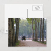 Versailles-Buggy 1 Postkarte (Vorne/Hinten)