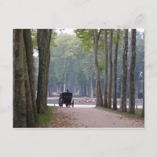 Versailles-Buggy 1 Postkarte (Vorderseite)