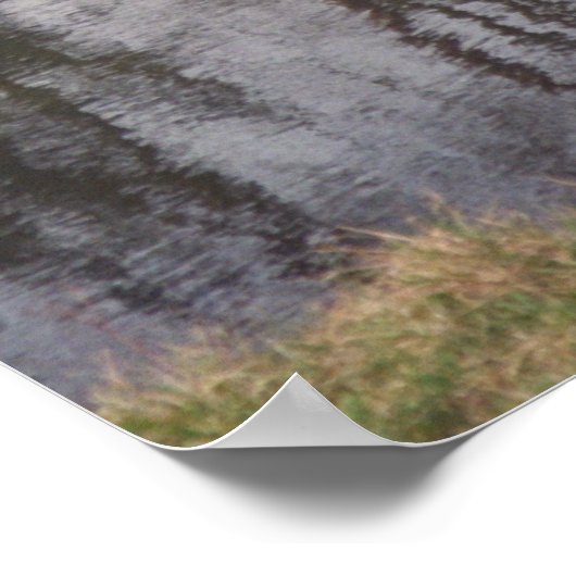 Versailles Tea House Poster (Ecke)