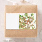 Versandadresse (Insitu)