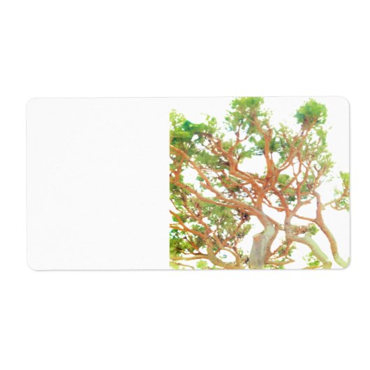 Versandadresse (Vorne)