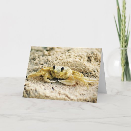 Versanden Sie Krabbe, Curaçao, die karibischen Karte (Vorderseite)