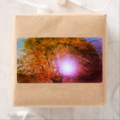 VERSANDKENNZEICHNUNG (Insitu)