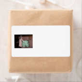 Versandmarke für Katzen (Insitu)