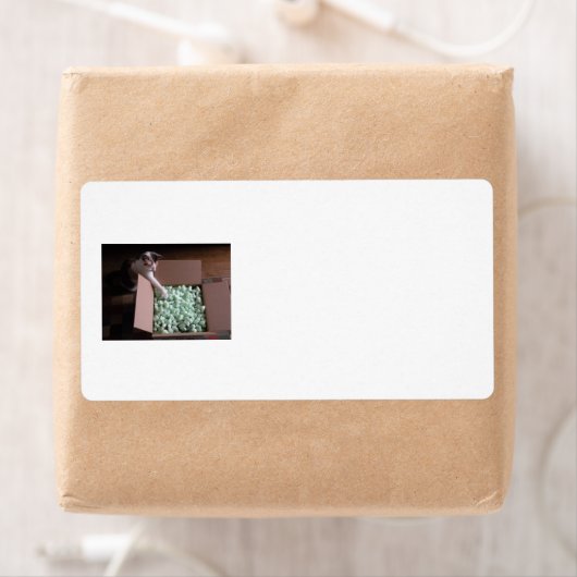 Versandmarke für Katzen (Insitu)