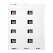 Versandmarke für Katzen (Vorne)