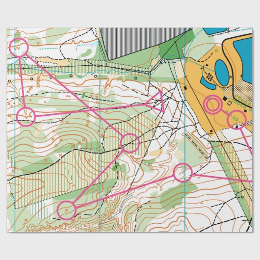 Versandpapier - Orientierungskarte Geschenkpapier (Flach)